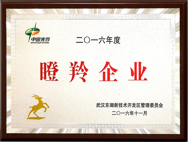 瞪羚企業(yè)